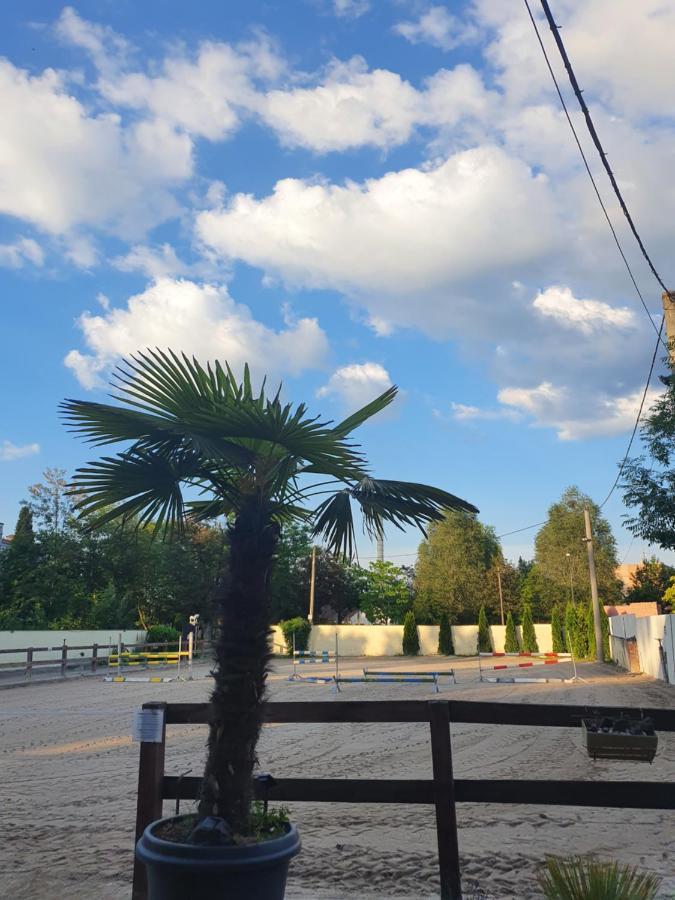 Farm Stay Nh Stables Nyrany ภายนอก รูปภาพ