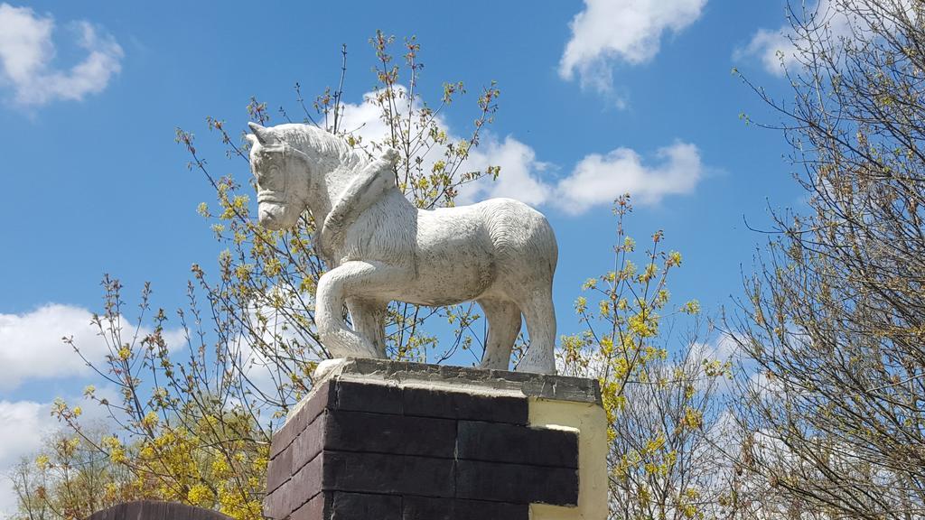 Farm Stay Nh Stables Nyrany ภายนอก รูปภาพ