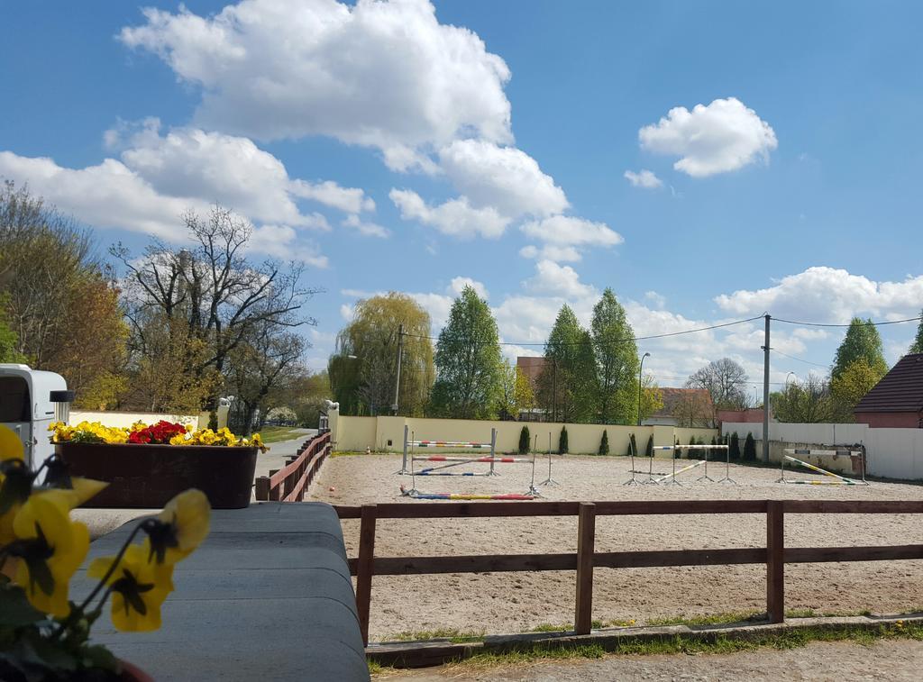 Farm Stay Nh Stables Nyrany ภายนอก รูปภาพ