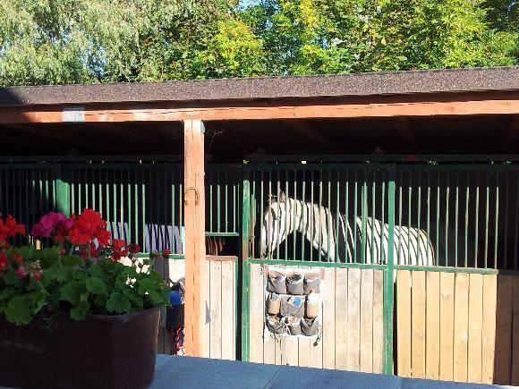 Farm Stay Nh Stables Nyrany ภายนอก รูปภาพ